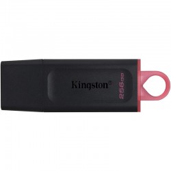 PEN DRIVE 256GB KINGSTON...